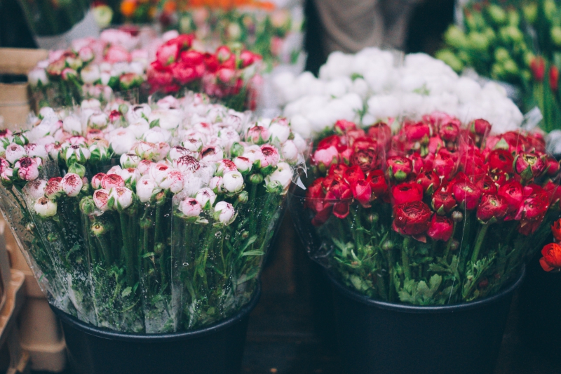 fleuriste-COLLONGUES-min_farmers-market-1209712